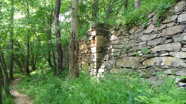 Bean Shoals Canal Trail Yadkin River NC