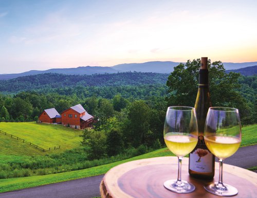Blue Ridge Cabin View with Yadkin Valley wine.jpg