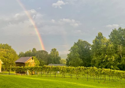 Carolina Heritage Vineyard & Winery rainbow2.jpg