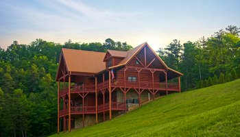 Coyote in the Woods Cabin Yadkin Valley Wine Country