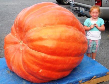 Yadkin Valley Pumpkin Festival