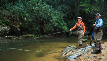 Mitchell River Delayed Harvest Trout Fishing