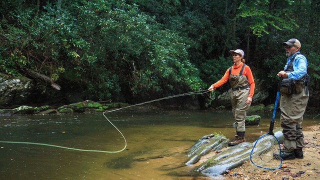 Mitchell River Delayed Harvest Trout Fishing