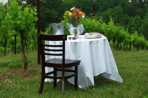 Elkin Creek Vineyard Yadkin Valley picnic