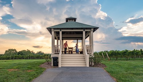 Vineyard views at Shelton Vineyards North Carolina Yadkin Valley