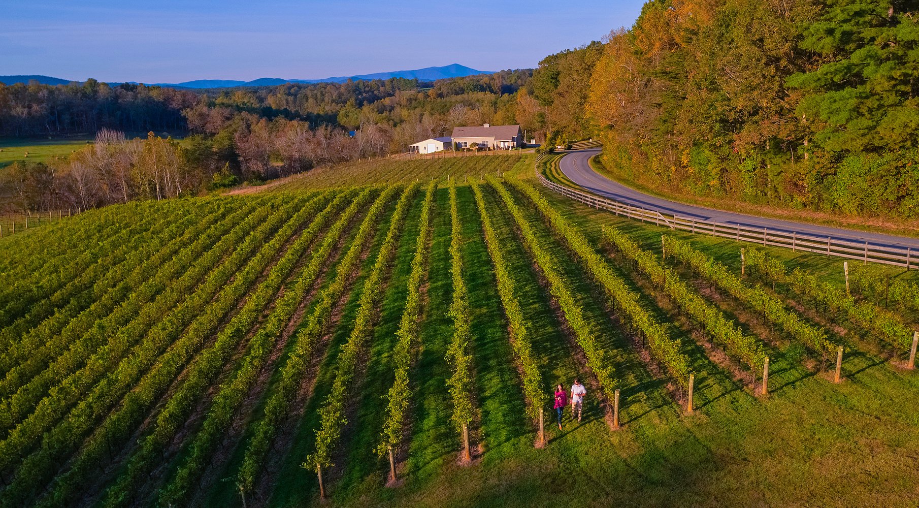 Golden Road Vineyards, Yadkin Valley, North Carolina, Homegrown by Heroes