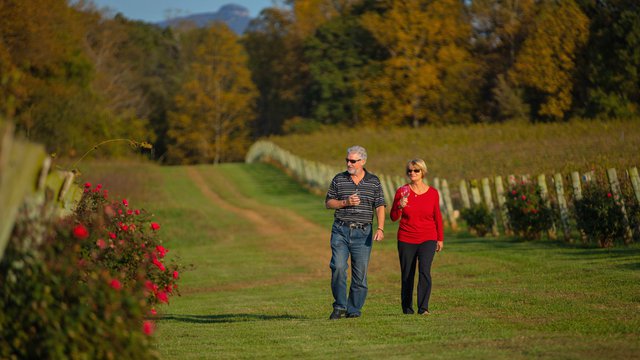 Hidden Vineyard Dobson Yadkin Valley North Carolina wine country