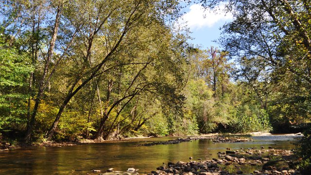 Mt. Airy Greenway Ararat River Trout Fishing