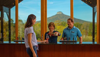Pilot Mountain Vineyards