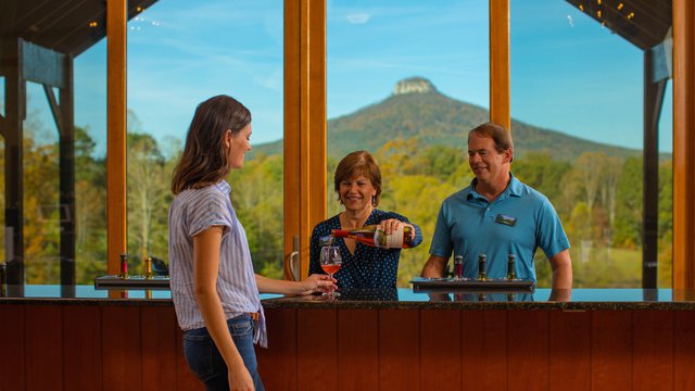Pilot Mountain Vineyards