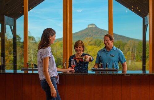 Pilot Mountain Vineyards Yadkin Valley Surry County Wine Trail