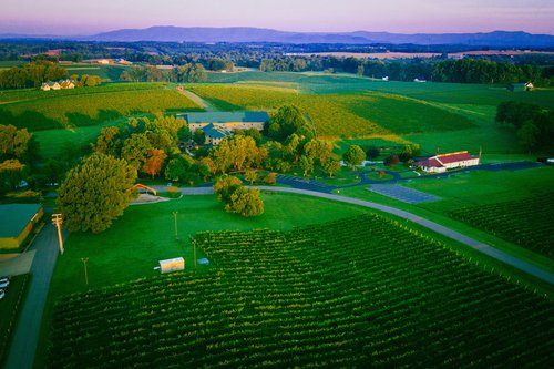 Shelton Vineyards in Dobson NC, Yadkin Valley