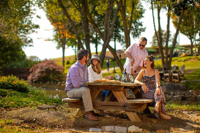 Shelton Vineyards picnic in Dobson, North Carolina