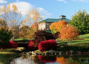Shelton Vineyards 014 web.jpg