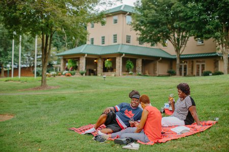 Shelton Vineyards Yadkin Valley picnic