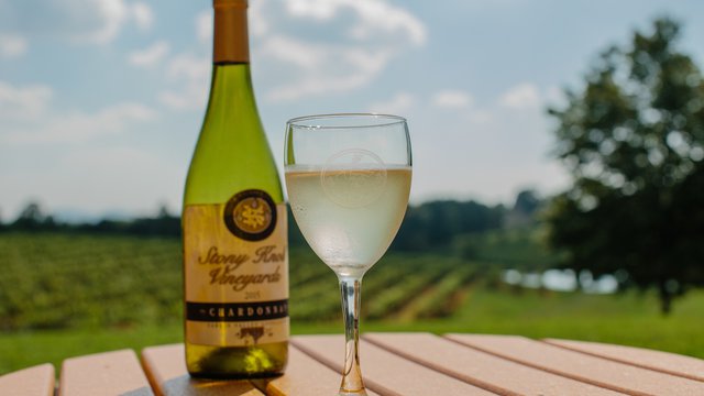 Stony Knoll Vineyards Yadkin Valley NC Surry County Wine Trail