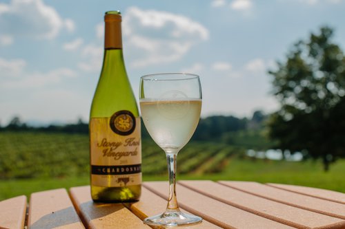 Stony Knoll Vineyards in Dobson, Yadkin Valley NC