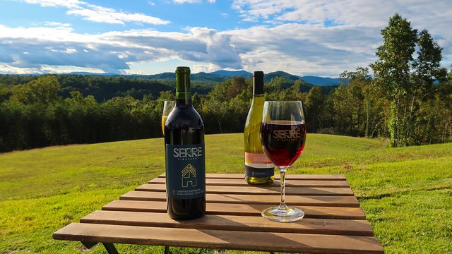 Surry County Wine Trail in Yadkin Valley NC