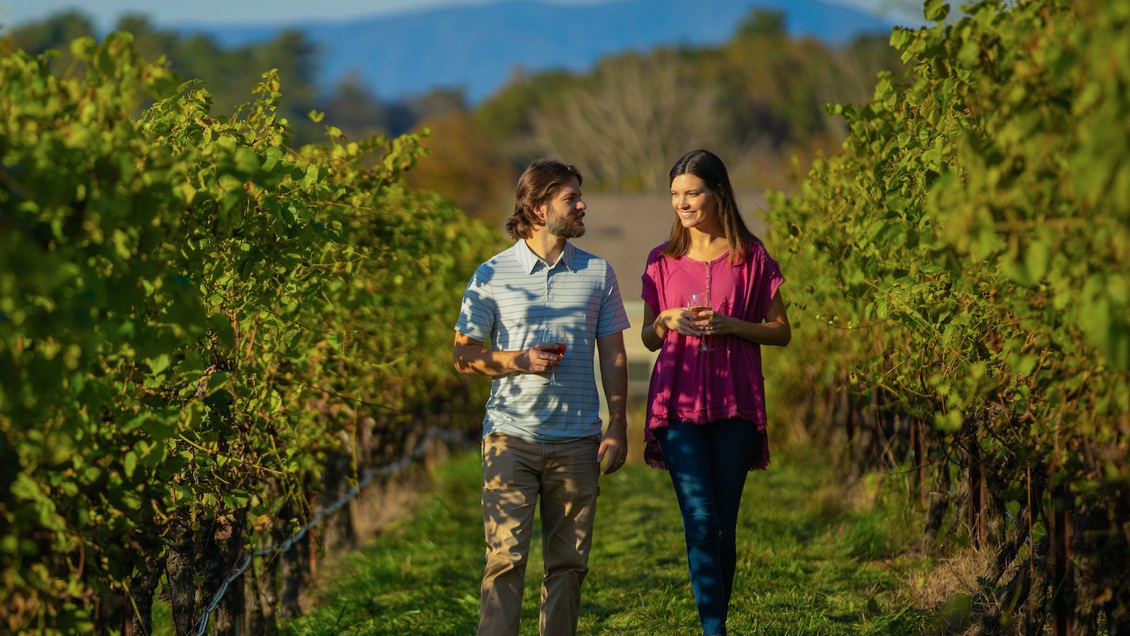Surry County Wine Trail Yadkin Valley NC Golden Road Vineyards.jpg