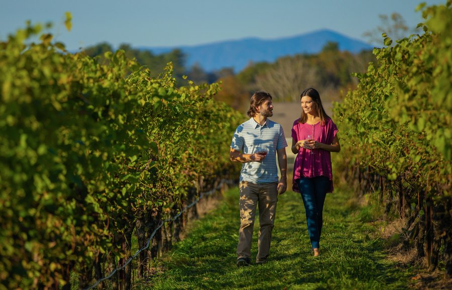 Surry County Wine Trail Yadkin Valley NC Golden Road.jpg