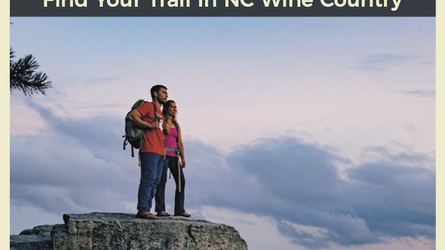 Visitor's Guide cover 2020