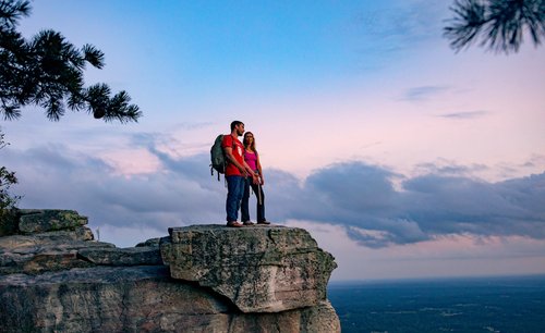 Yadkin Valley Visitors Guide Surry County North Carolina