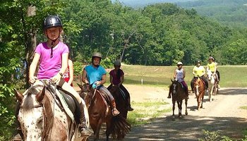 Cardinal Stables and Riding Academy