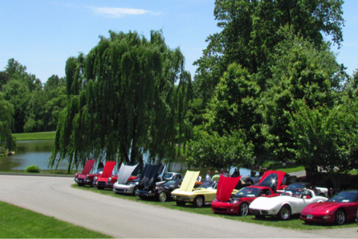 Corvette Auto Show