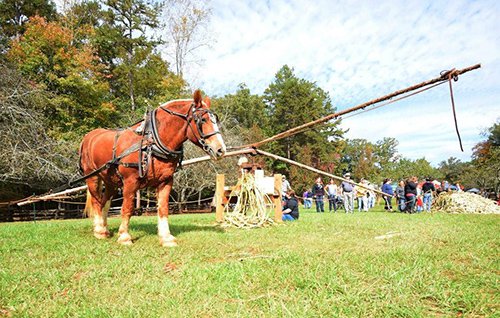 Horne Creek Farm Presents 'Then and Now'