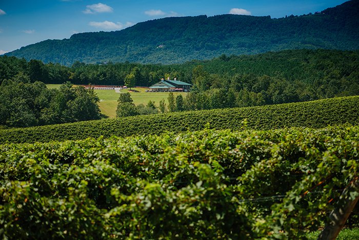 Jones von Drehle Vineyards & Winery