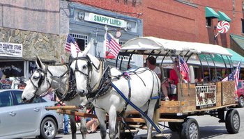 Mayberry Mules & Wagon Rides