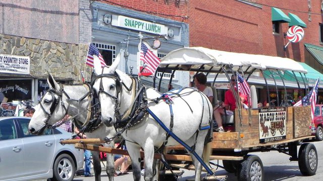 Mayberry Mules & Wagon Rides