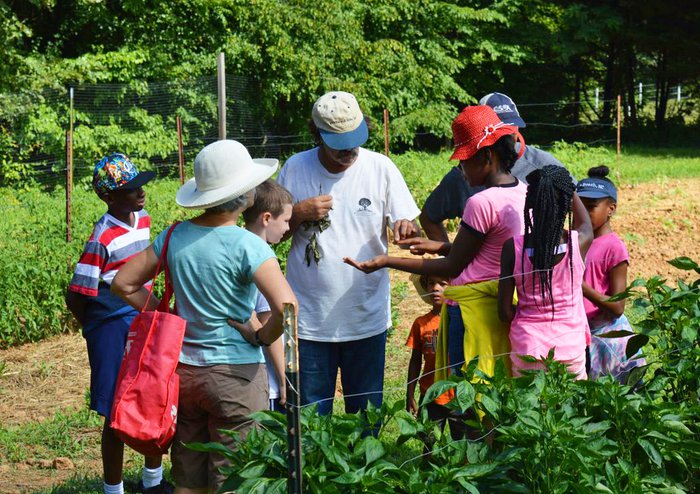 Mingle with Nature at Minglewood Farm & Nature Preserve