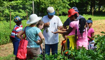 Minglewood Farm & Nature Preserve