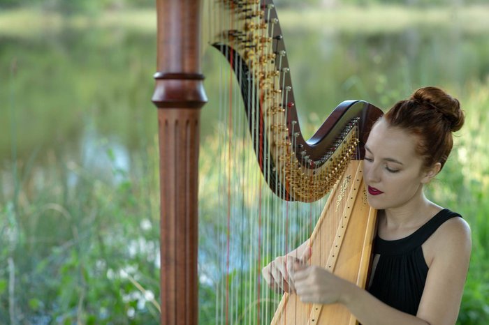 natalie wagner harp.jpg