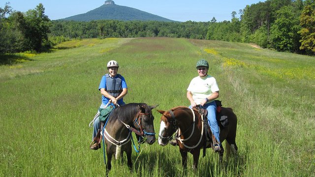 Sauratown Trail