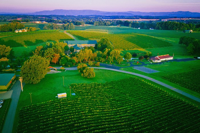 Shelton Vineyards