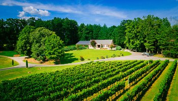 Stony Knoll Vineyards