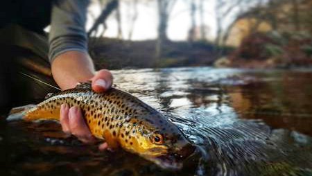 The Experience Fly Fishing Service