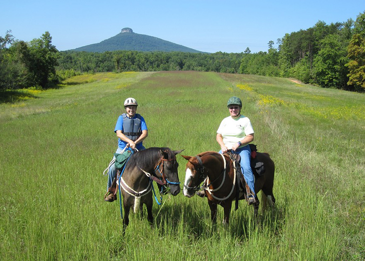 Sauratown Trail Yadkin Valley, NC