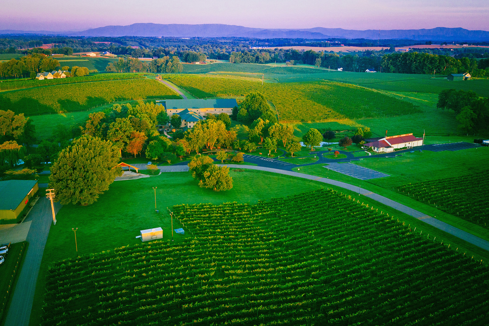 Shelton Vineyards Yadkin Valley, NC