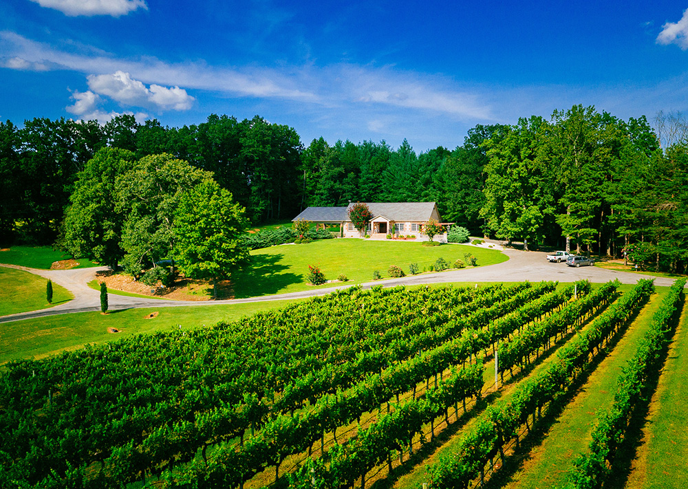 Stony Knoll Vineyards Yadkin Valley, NC